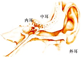 乹