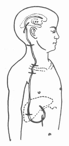 63102.jpg (16565 �ֽ�)