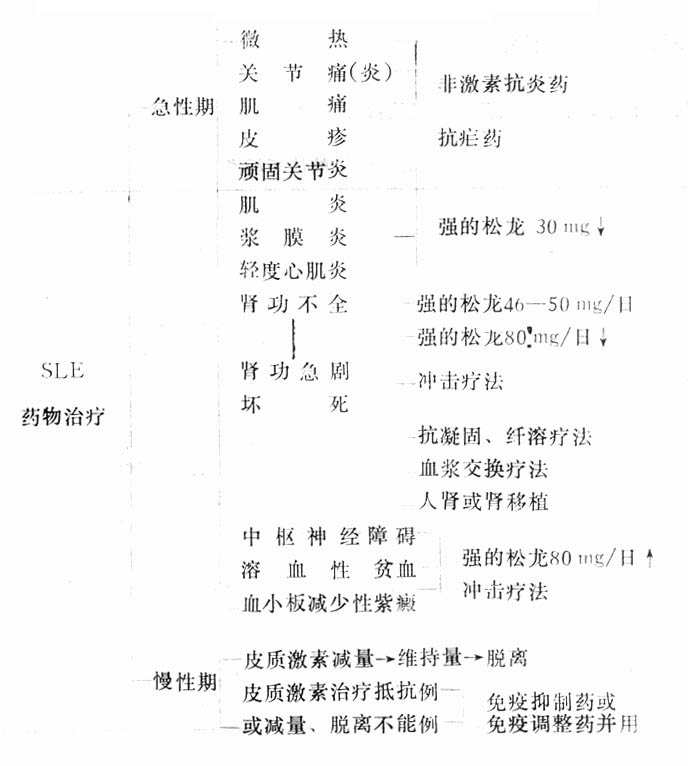 09801.jpg (53340 �ֽ�)