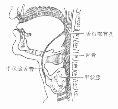 19301.jpg (25171 字节)