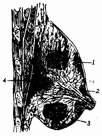 20401.jpg (61643 �ֽ�)