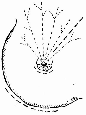 20402.jpg (23356 �ֽ�)