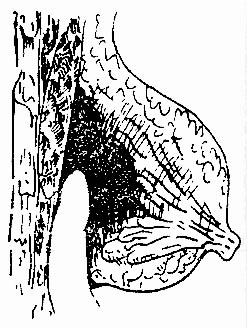 20403.jpg (39020 字节)