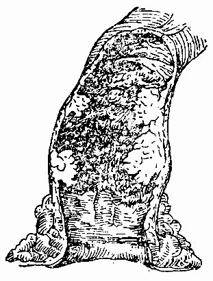 34401.jpg (56362 �ֽ�)