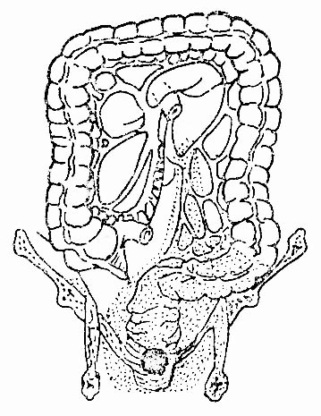 34502.jpg (64981 �ֽ�)