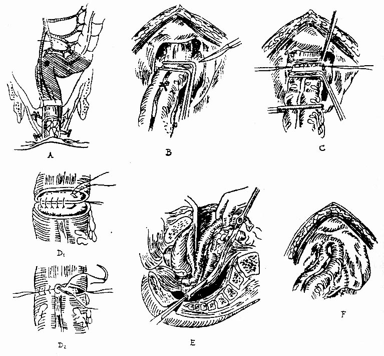 34601.jpg (162521 �ֽ�)