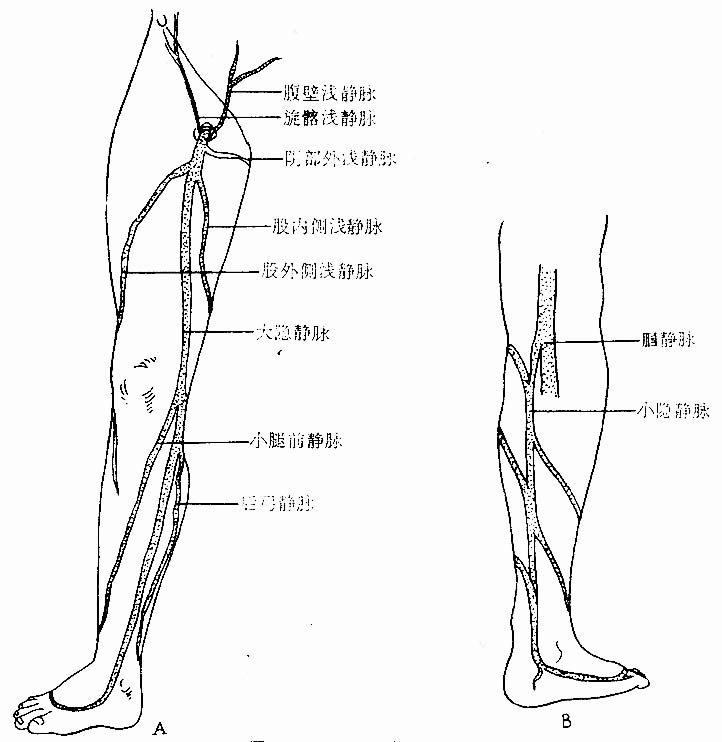 36701.jpg (68007 字节)